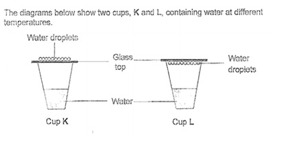 cup temperatures.jpg